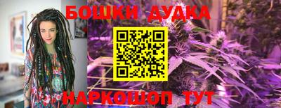 индика Ликино-Дулёво